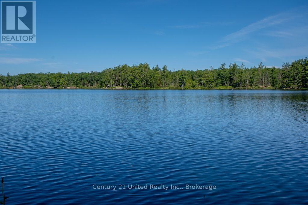 174 Fire Route 55, North Kawartha, Ontario  K0L 1A0 - Photo 41 - X13583450