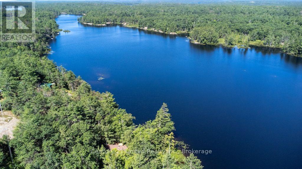 174 Fire Route 55, North Kawartha, Ontario  K0L 1A0 - Photo 42 - X13583450