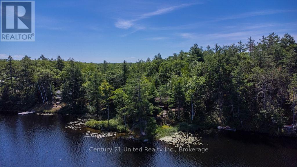 174 Fire Route 55, North Kawartha, Ontario  K0L 1A0 - Photo 43 - X13583450