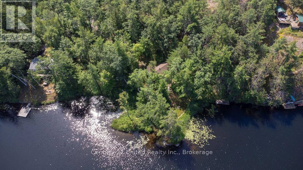 174 Fire Route 55, North Kawartha, Ontario  K0L 1A0 - Photo 44 - X13583450
