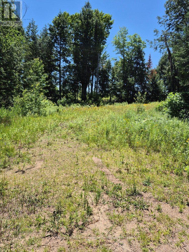 LOT 18 NORTH STEENBURG LAKE ROAD, wollaston, Ontario