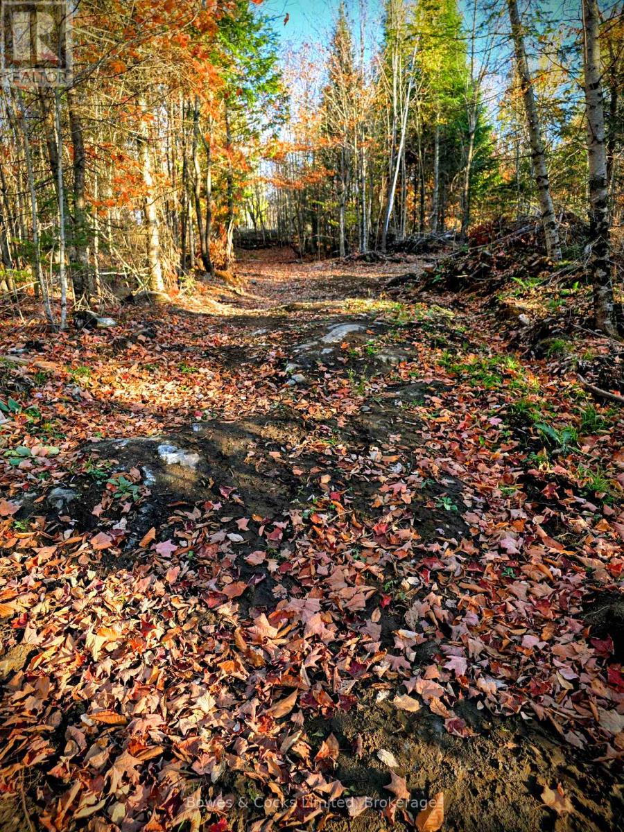 42 Clear Lake Court, Marmora And Lake (Lake Ward), Ontario  K0L 1W0 - Photo 16 - X13584232