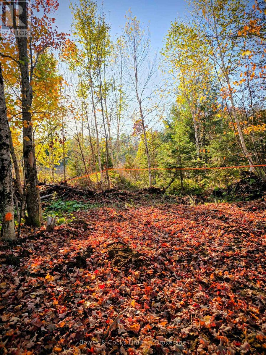 42 Clear Lake Court, Marmora And Lake (Lake Ward), Ontario  K0L 1W0 - Photo 17 - X13584232