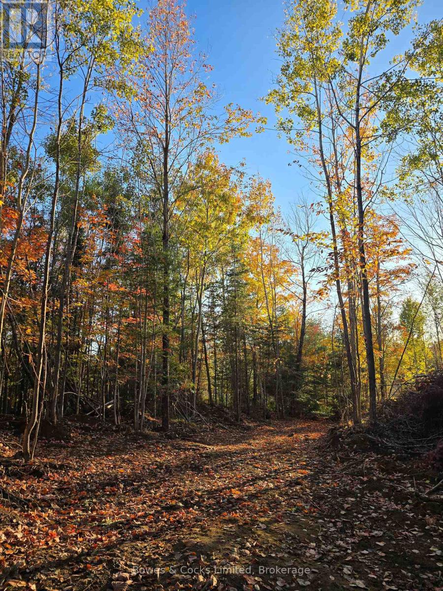 42 Clear Lake Court, Marmora And Lake (Lake Ward), Ontario  K0L 1W0 - Photo 19 - X13584232