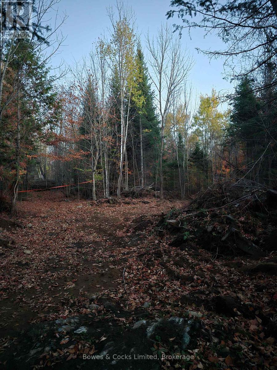 42 Clear Lake Court, Marmora And Lake (Lake Ward), Ontario  K0L 1W0 - Photo 26 - X13584232