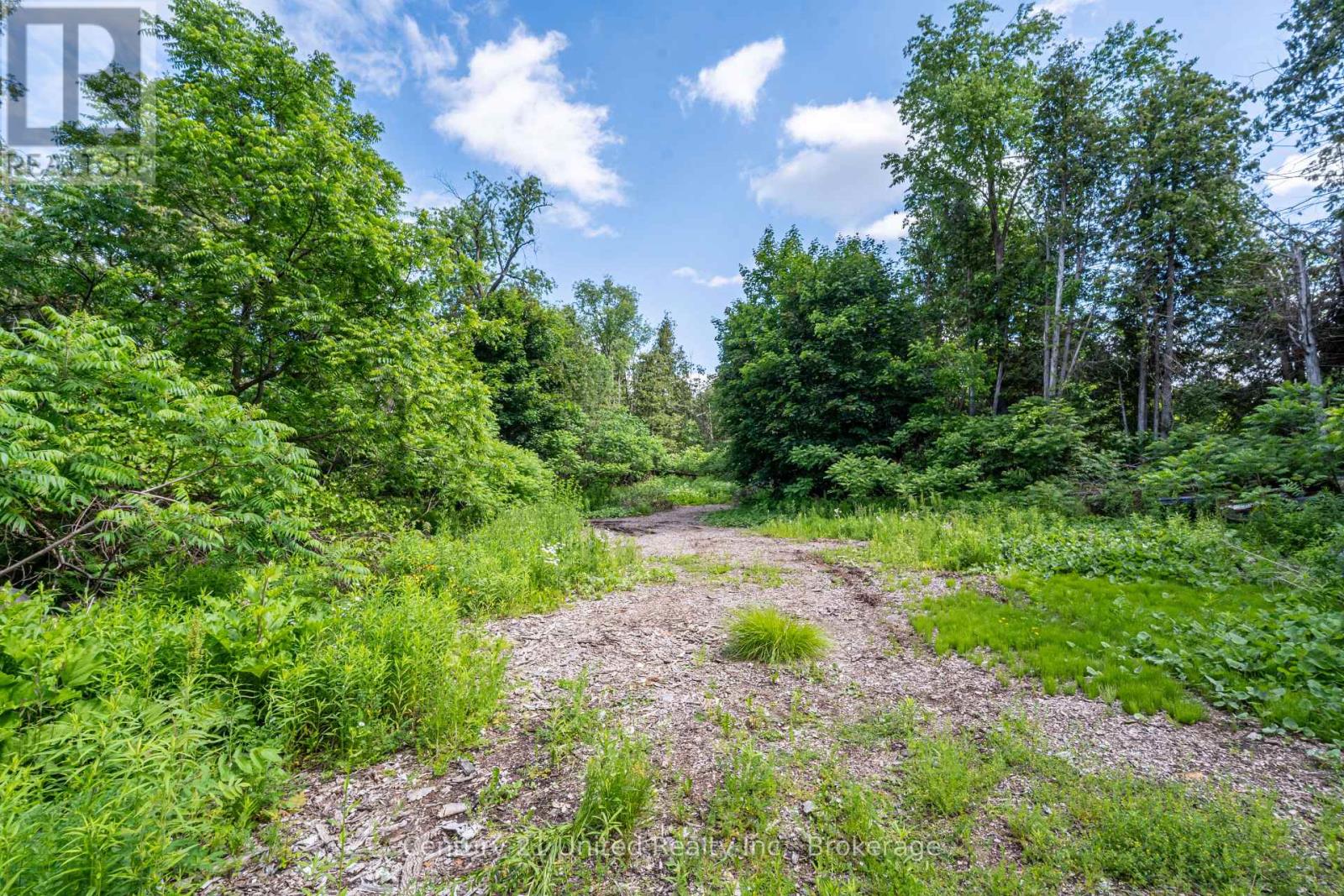 2403 Upper Chemung Drive, Selwyn, Ontario  K0L 2H0 - Photo 23 - X13587790