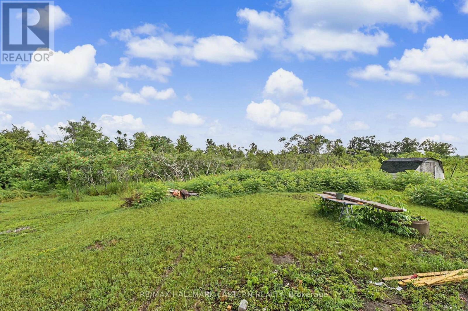 2260 Buckhorn Road, Selwyn, Ontario  K0L 2H0 - Photo 25 - X13594502
