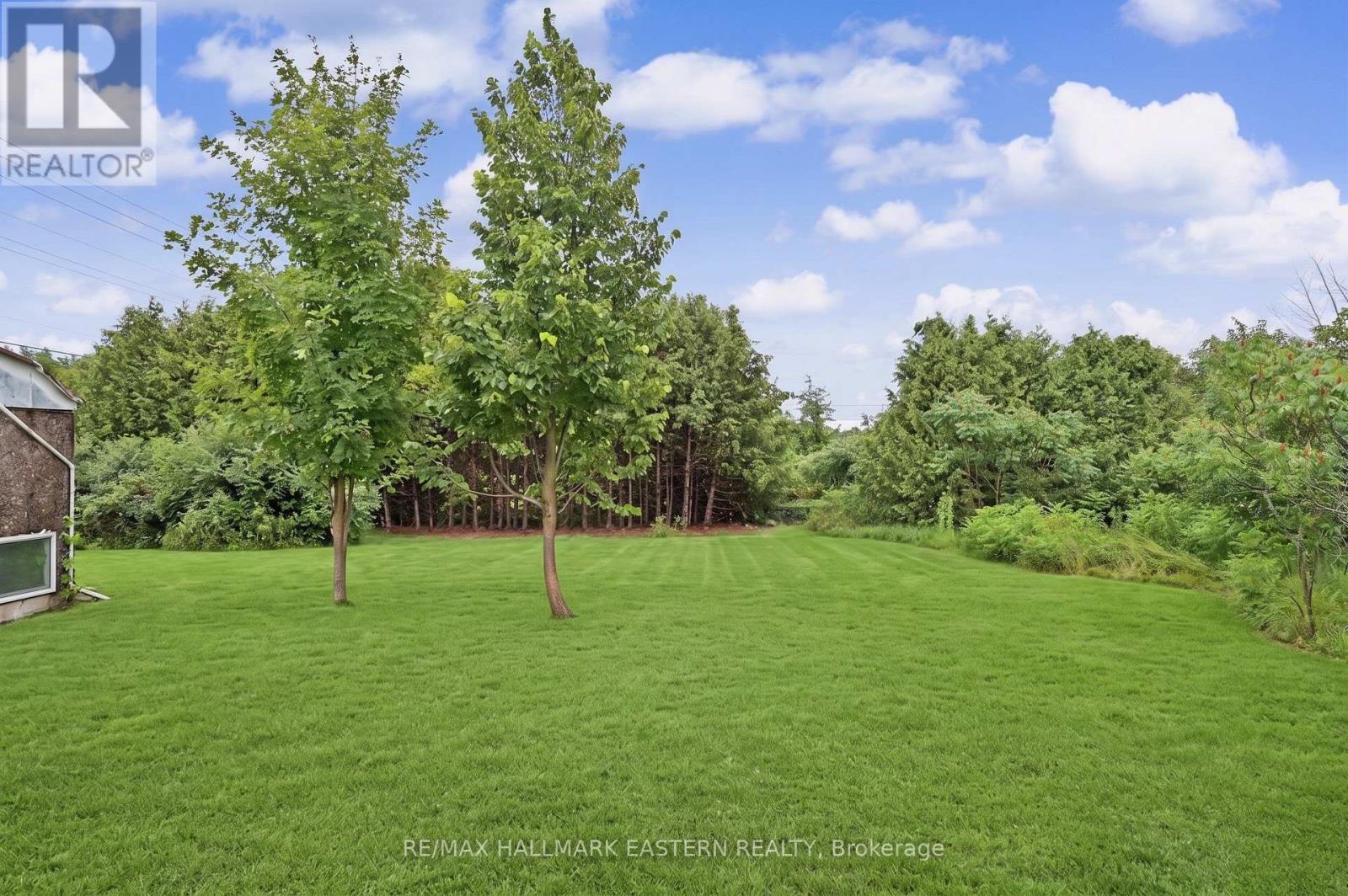 2260 Buckhorn Road, Selwyn, Ontario  K0L 2H0 - Photo 3 - X13594502