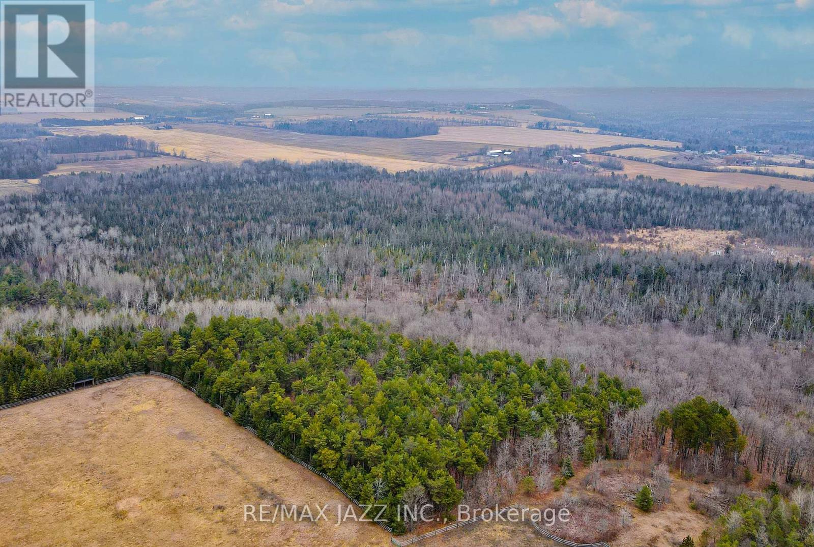 0 Ballyduff Road, Kawartha Lakes (Manvers), Ontario  L0A 1K0 - Photo 13 - X13601902