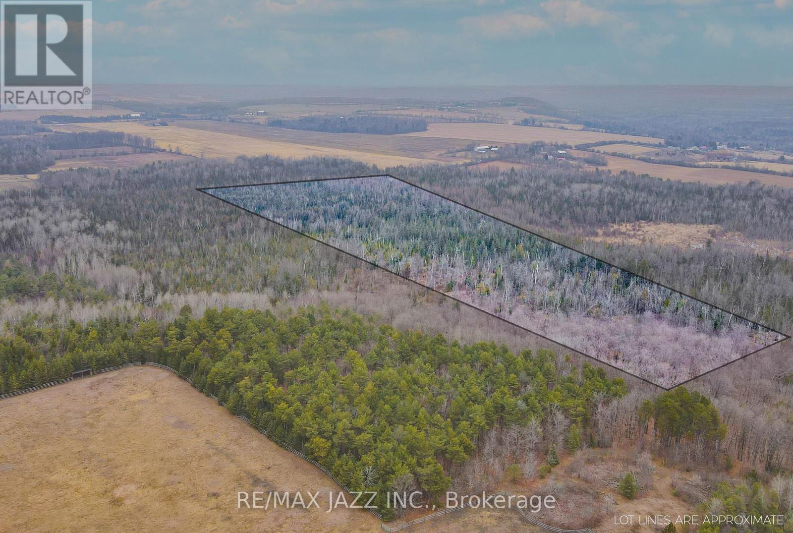 0 Ballyduff Road, Kawartha Lakes (Manvers), Ontario  L0A 1K0 - Photo 14 - X13601902