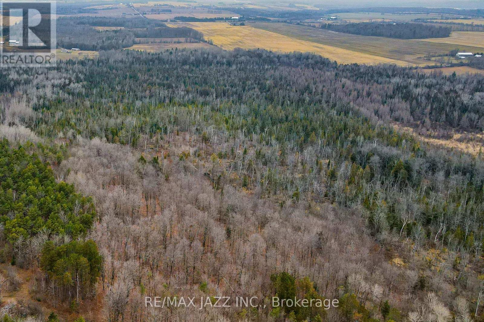 0 Ballyduff Road, Kawartha Lakes (Manvers), Ontario  L0A 1K0 - Photo 15 - X13601902