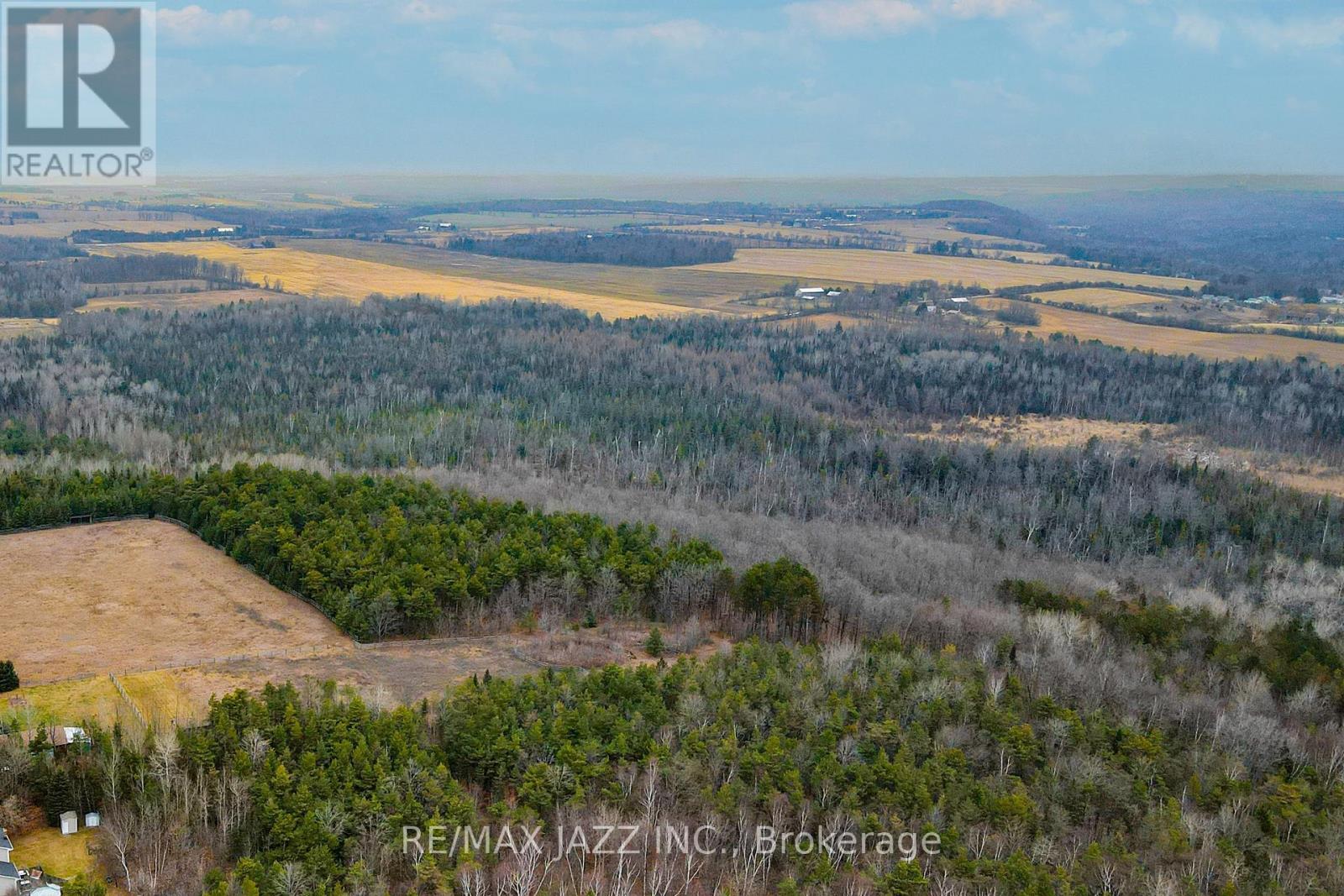 0 Ballyduff Road, Kawartha Lakes (Manvers), Ontario  L0A 1K0 - Photo 17 - X13601902