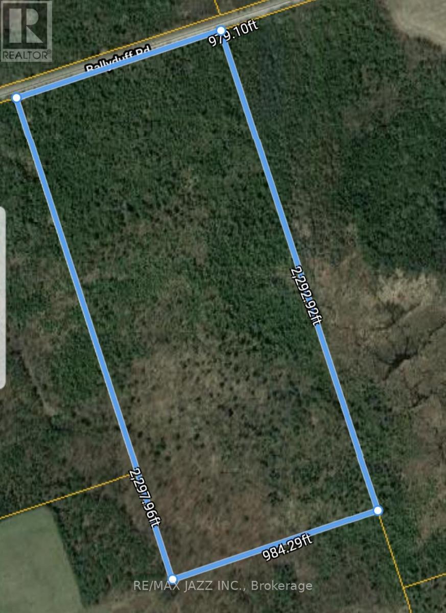 0 Ballyduff Road, Kawartha Lakes (Manvers), Ontario  L0A 1K0 - Photo 2 - X13601902