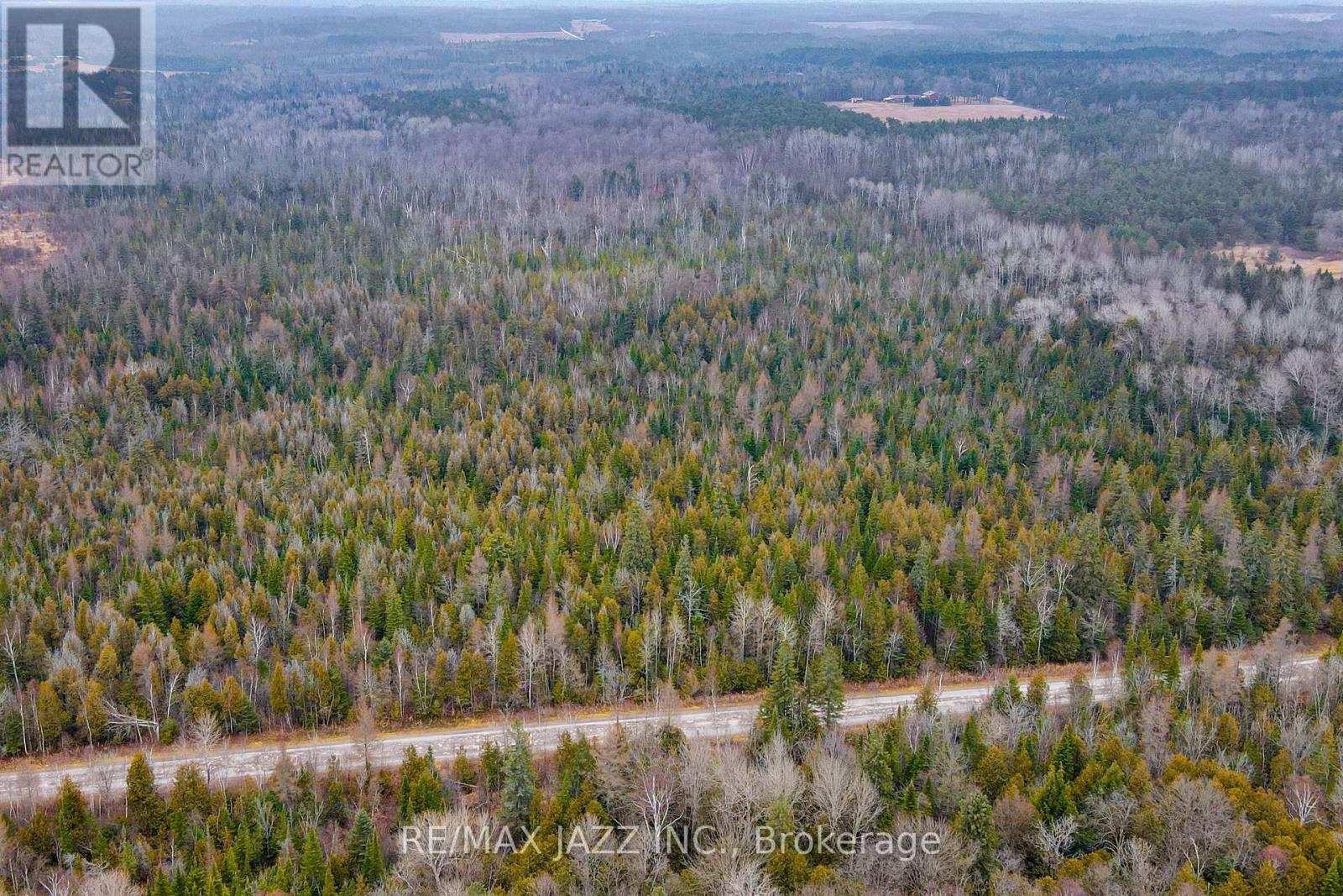 0 Ballyduff Road, Kawartha Lakes (Manvers), Ontario  L0A 1K0 - Photo 8 - X13601902