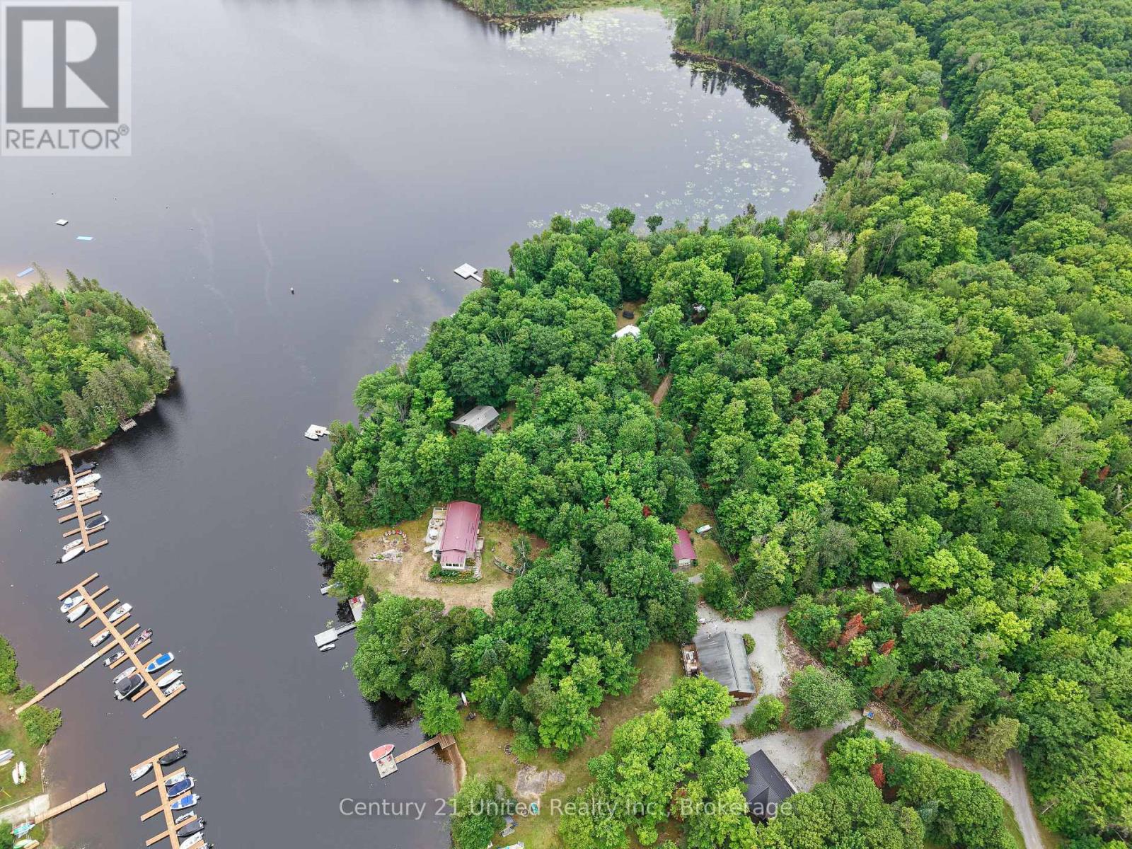 1047 Redwood Lane, Highlands East (Cardiff Ward), Ontario  K0L 1C0 - Photo 6 - X13601904