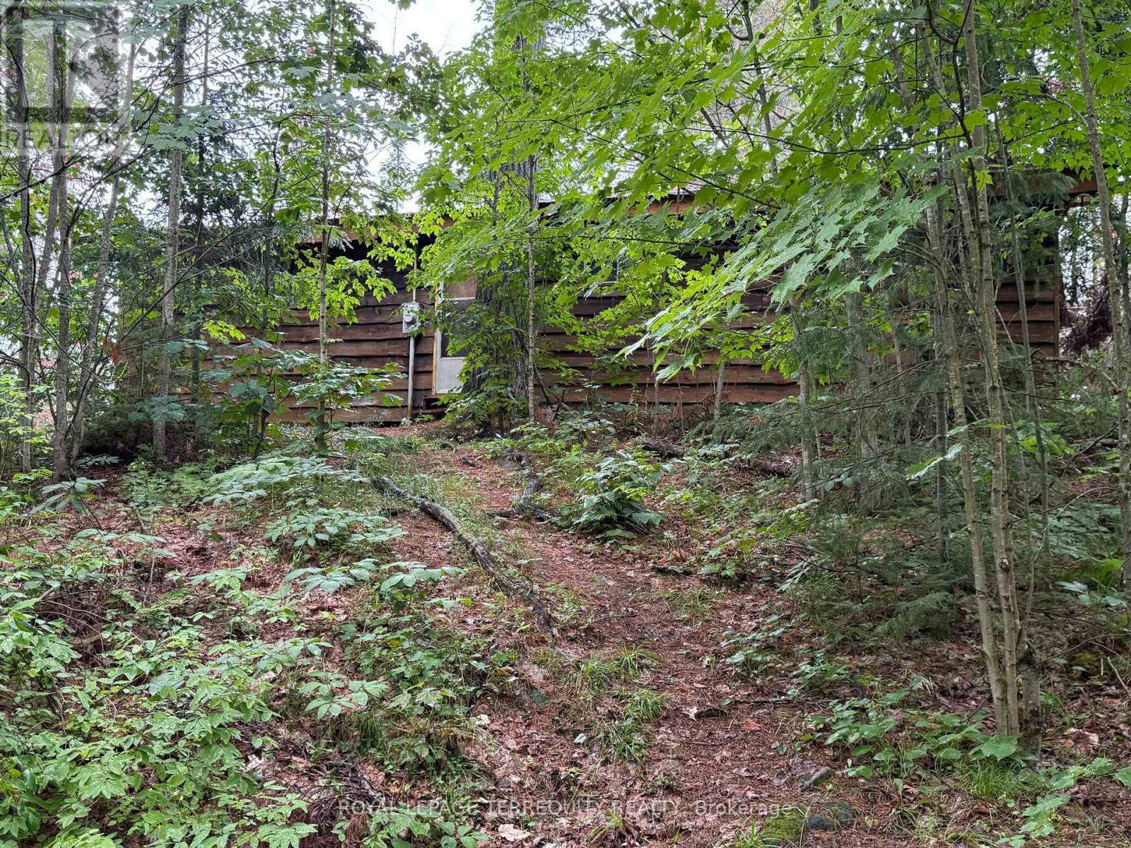 1097 Swirlingleaves Lane, Highlands East (Cardiff Ward), Ontario  K0L 1C0 - Photo 2 - X13605146