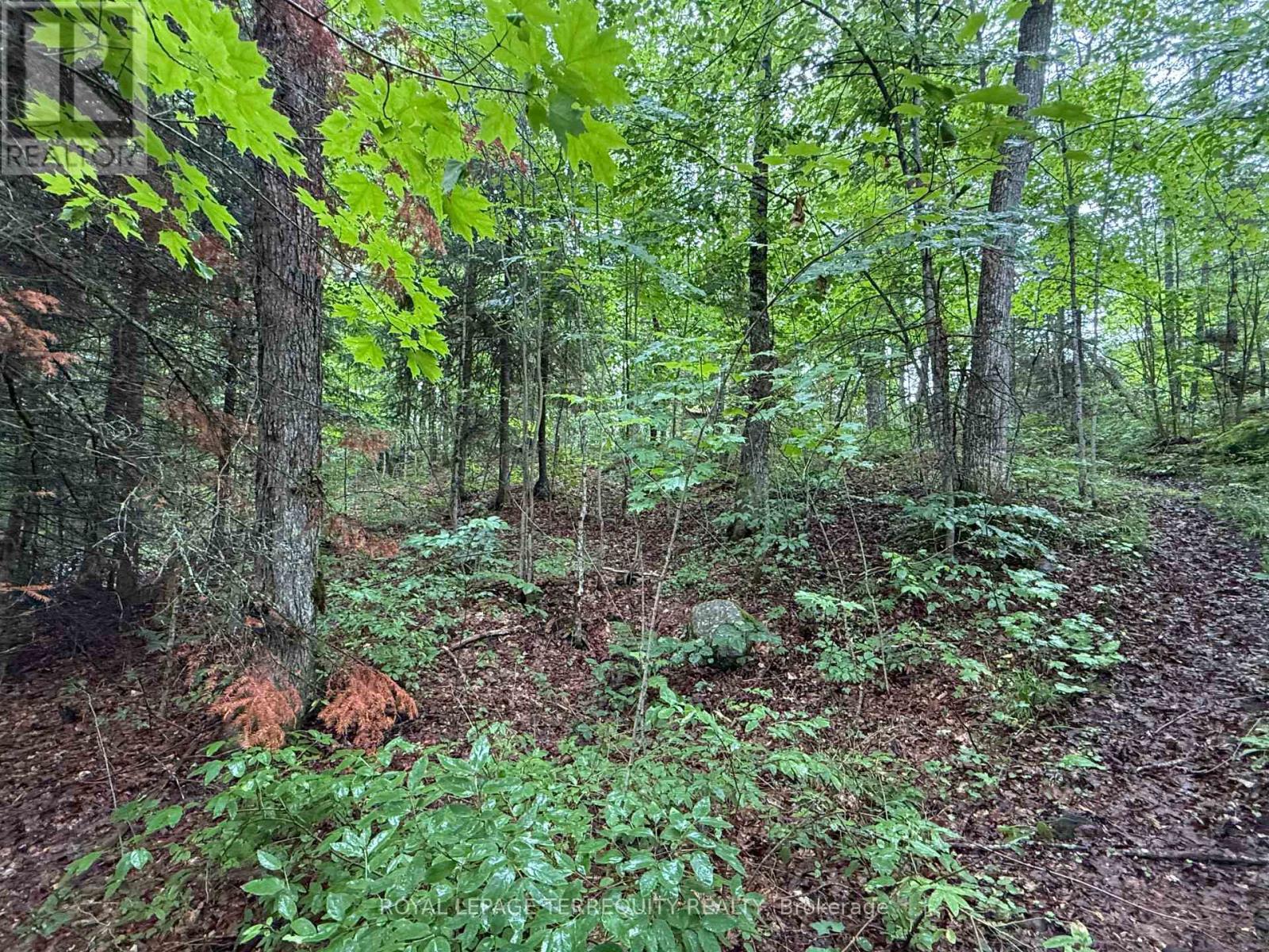 1097 Swirlingleaves Lane, Highlands East (Cardiff Ward), Ontario  K0L 1C0 - Photo 29 - X13605146