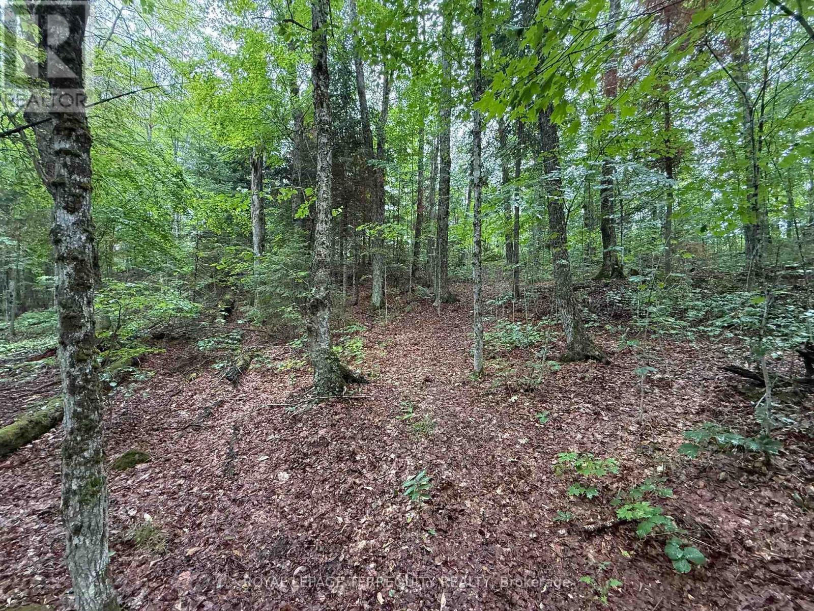 1097 Swirlingleaves Lane, Highlands East (Cardiff Ward), Ontario  K0L 1C0 - Photo 31 - X13605146
