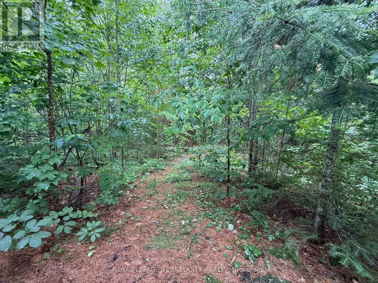 1097 Swirlingleaves Lane, Highlands East (Cardiff Ward), Ontario  K0L 1C0 - Photo 32 - X13605146