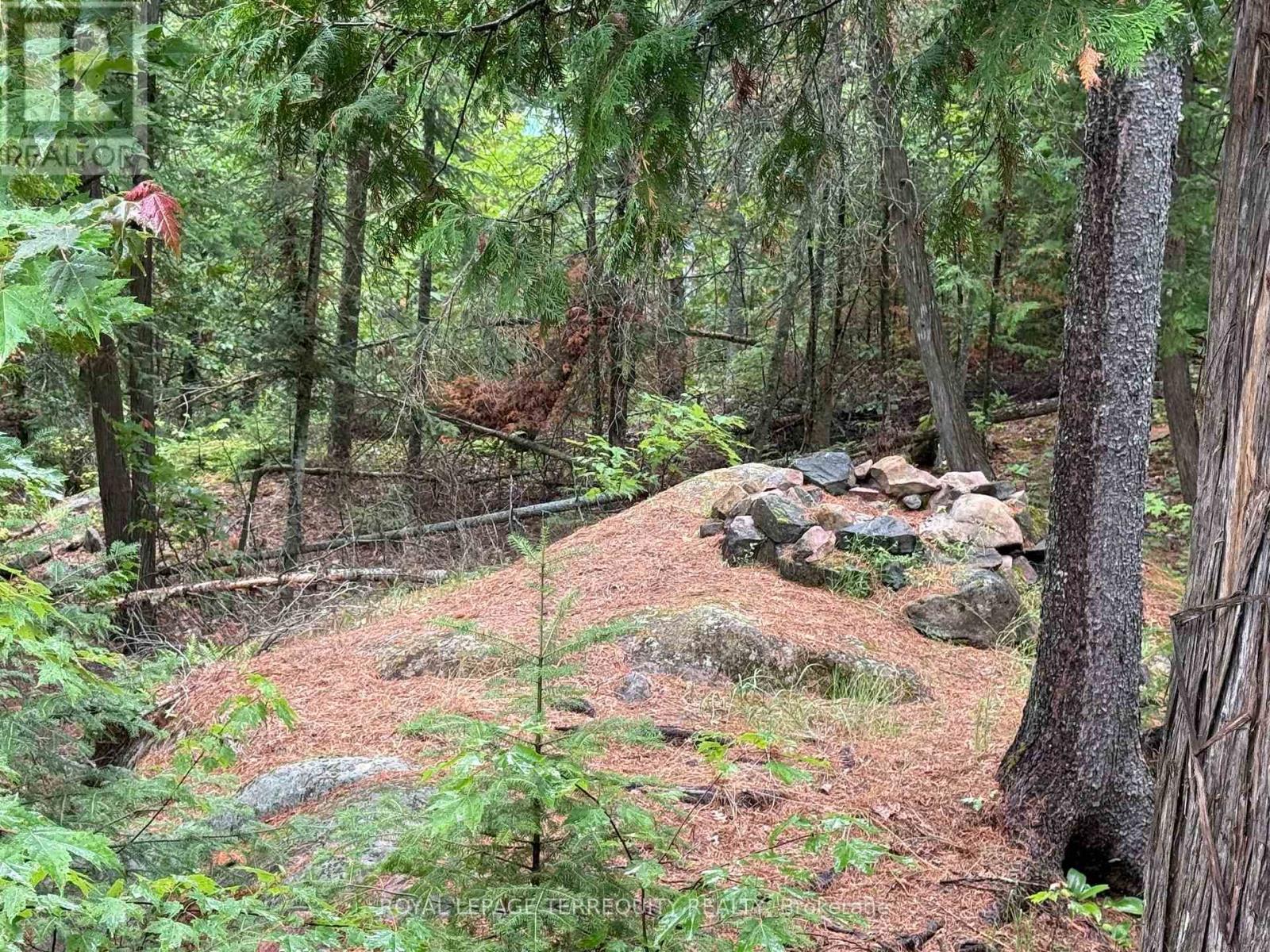 1097 Swirlingleaves Lane, Highlands East (Cardiff Ward), Ontario  K0L 1C0 - Photo 33 - X13605146
