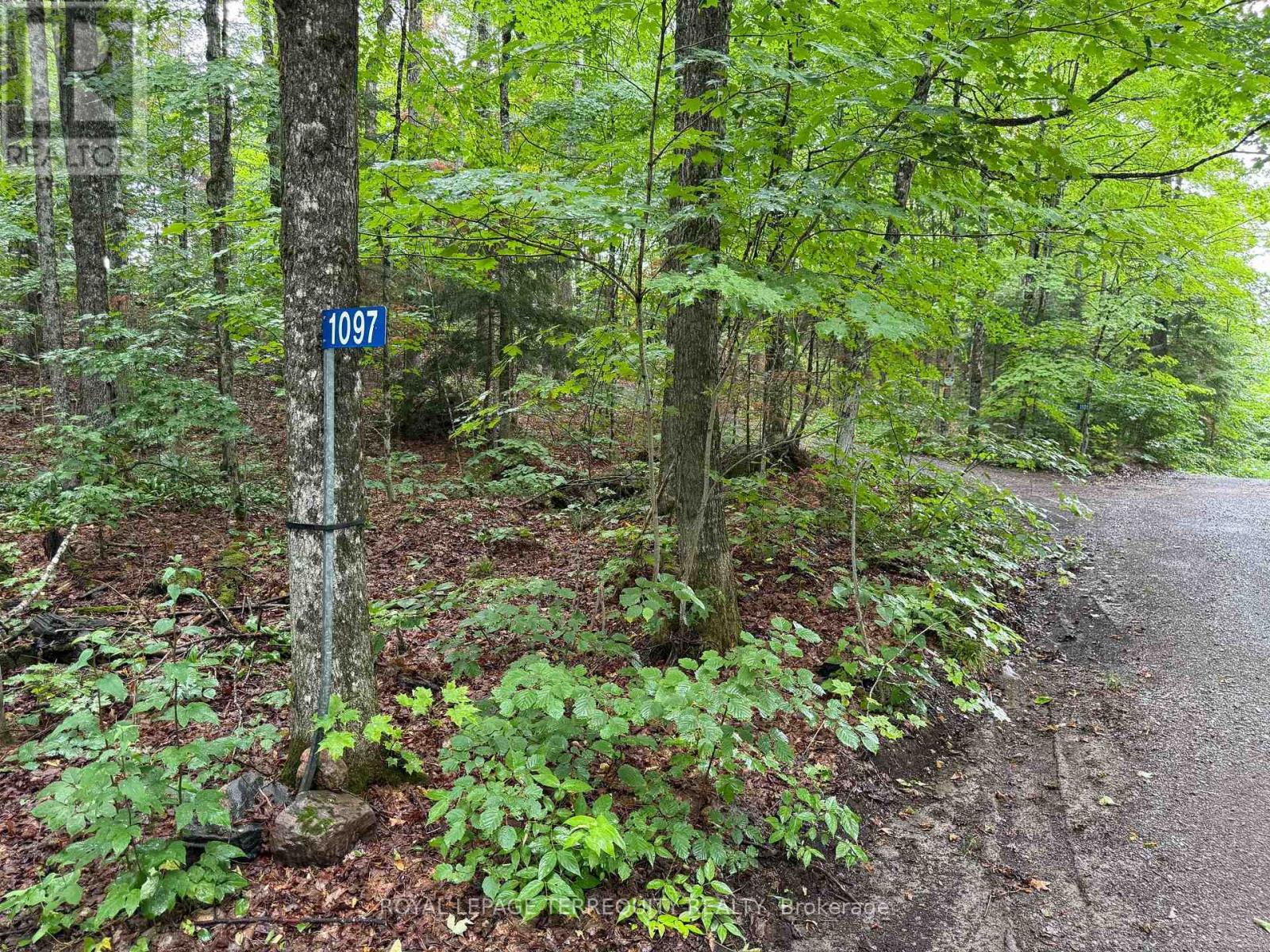 1097 Swirlingleaves Lane, Highlands East (Cardiff Ward), Ontario  K0L 1C0 - Photo 35 - X13605146