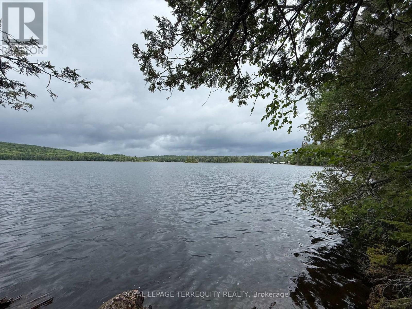 1097 Swirlingleaves Lane, Highlands East (Cardiff Ward), Ontario  K0L 1C0 - Photo 36 - X13605146