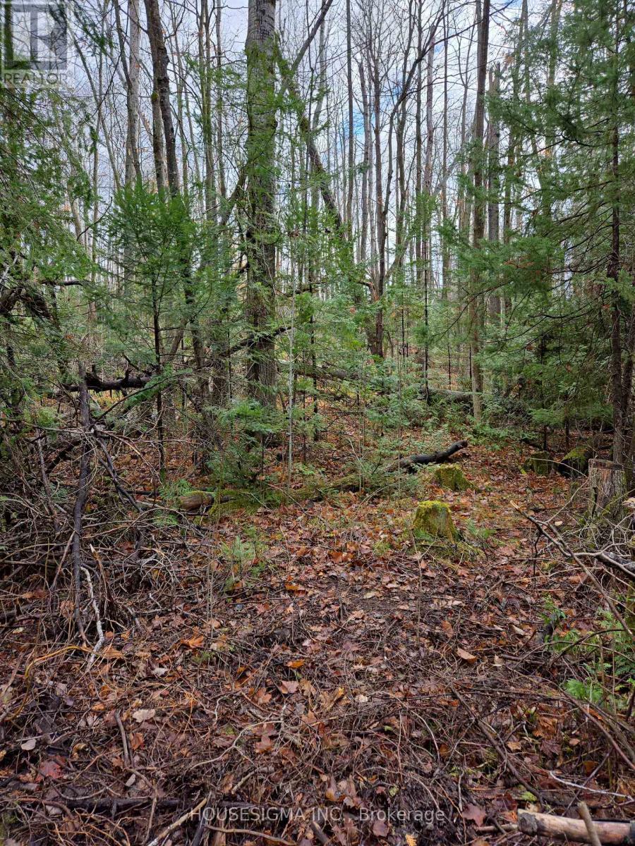 Pt Lt 3 Concession 8 Pt 123, Trent Hills, Ontario  K0L 1V0 - Photo 2 - X13606534