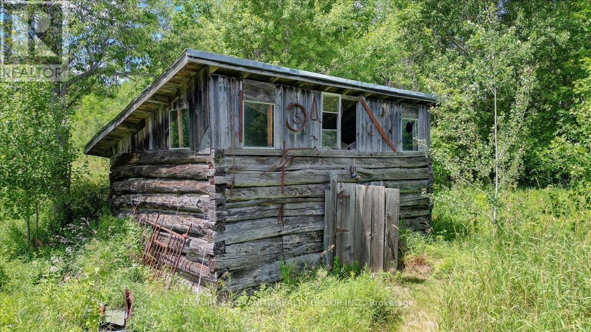 710 Rose Island Road, North Kawartha, Ontario  K0L 1P0 - Photo 32 - X13607958