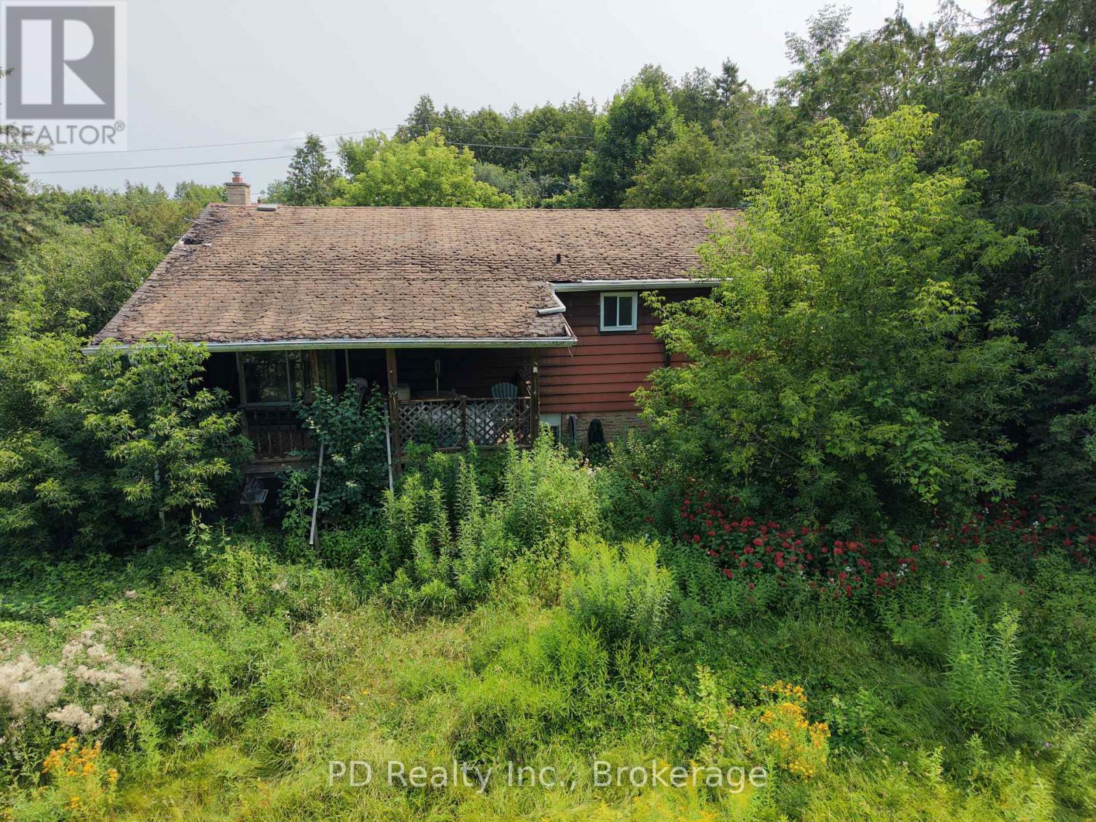 373 Mount Nebo Road, Kawartha Lakes (Emily), Ontario  K0L 2W0 - Photo 13 - X13608974