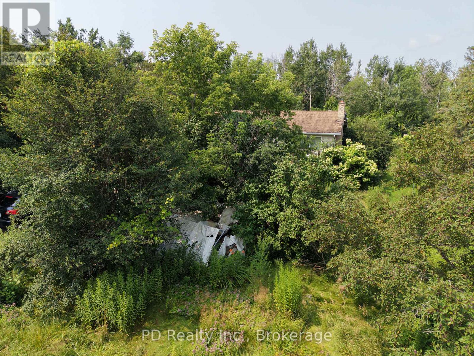 373 Mount Nebo Road, Kawartha Lakes (Emily), Ontario  K0L 2W0 - Photo 8 - X13608974