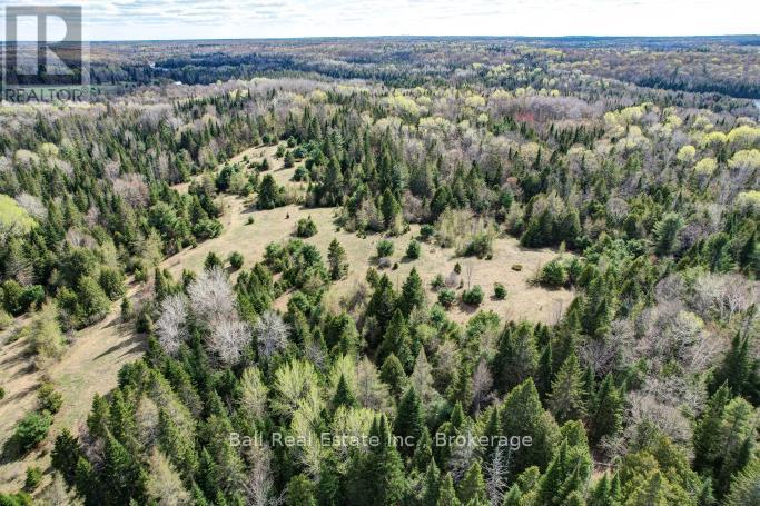 Pt Lts 11 & 12 As Part 2, Clydesdale Road, North Kawartha, Ontario  K0L 1A0 - Photo 8 - X13609778