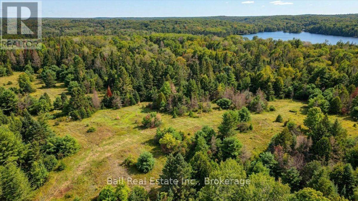 0 Clydesdale Road, North Kawartha, Ontario  K0L 1A0 - Photo 16 - X13609796