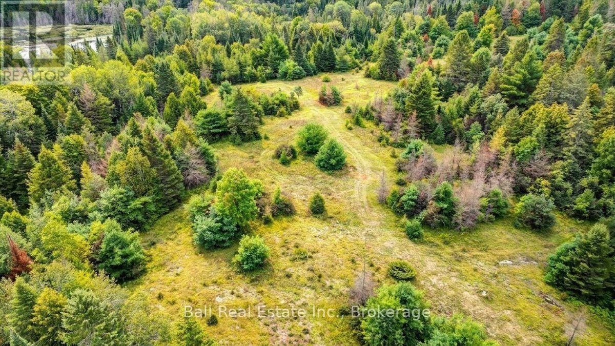 0 Clydesdale Road, North Kawartha, Ontario  K0L 1A0 - Photo 21 - X13609796