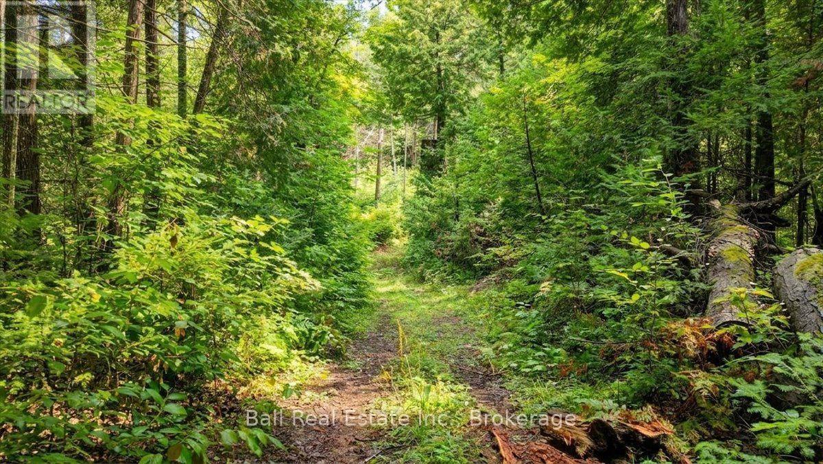 0 Clydesdale Road, North Kawartha, Ontario  K0L 1A0 - Photo 25 - X13609796