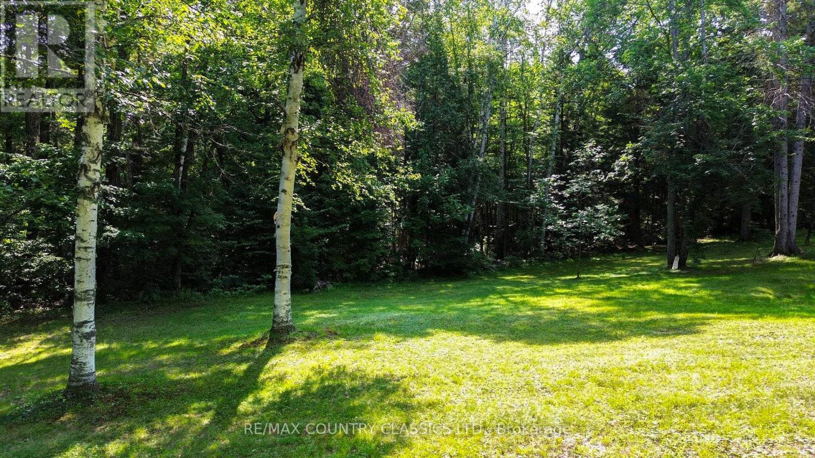 1551 Mumford Road, Highlands East (Cardiff Ward), Ontario  K0L 1X0 - Photo 44 - X13610126