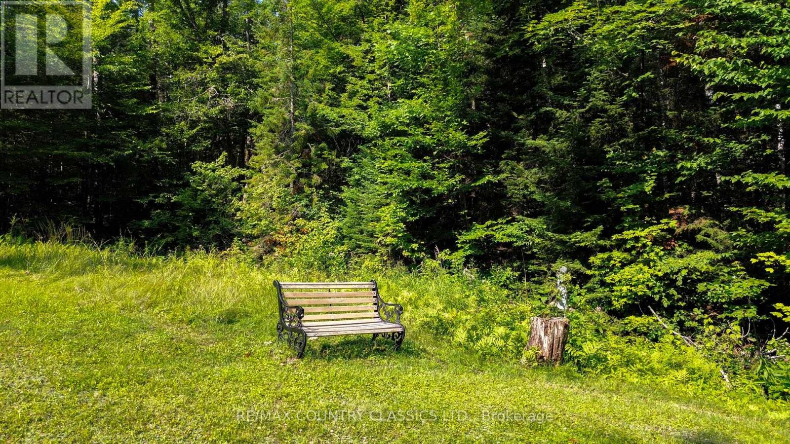 1551 Mumford Road, Highlands East (Cardiff Ward), Ontario  K0L 1X0 - Photo 8 - X13610126