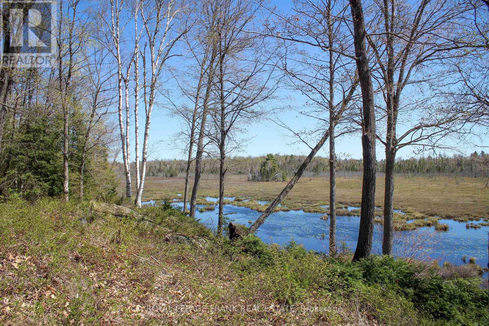 23157 A&b Highway 62, Limerick, Ontario  K0L 1W0 - Photo 33 - X13610370
