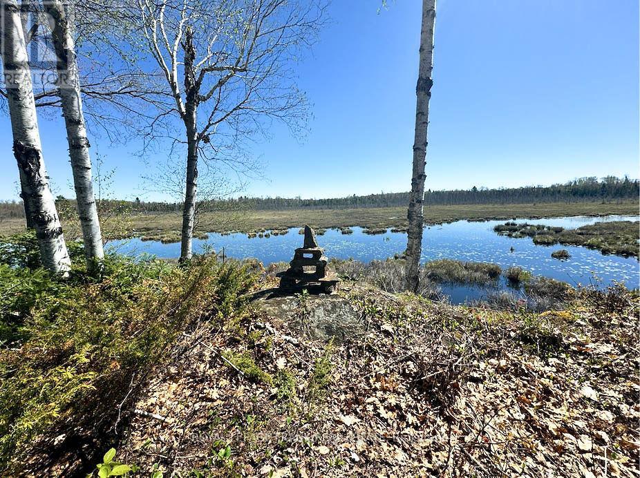 23157 A&b Highway 62, Limerick, Ontario  K0L 1W0 - Photo 34 - X13610370