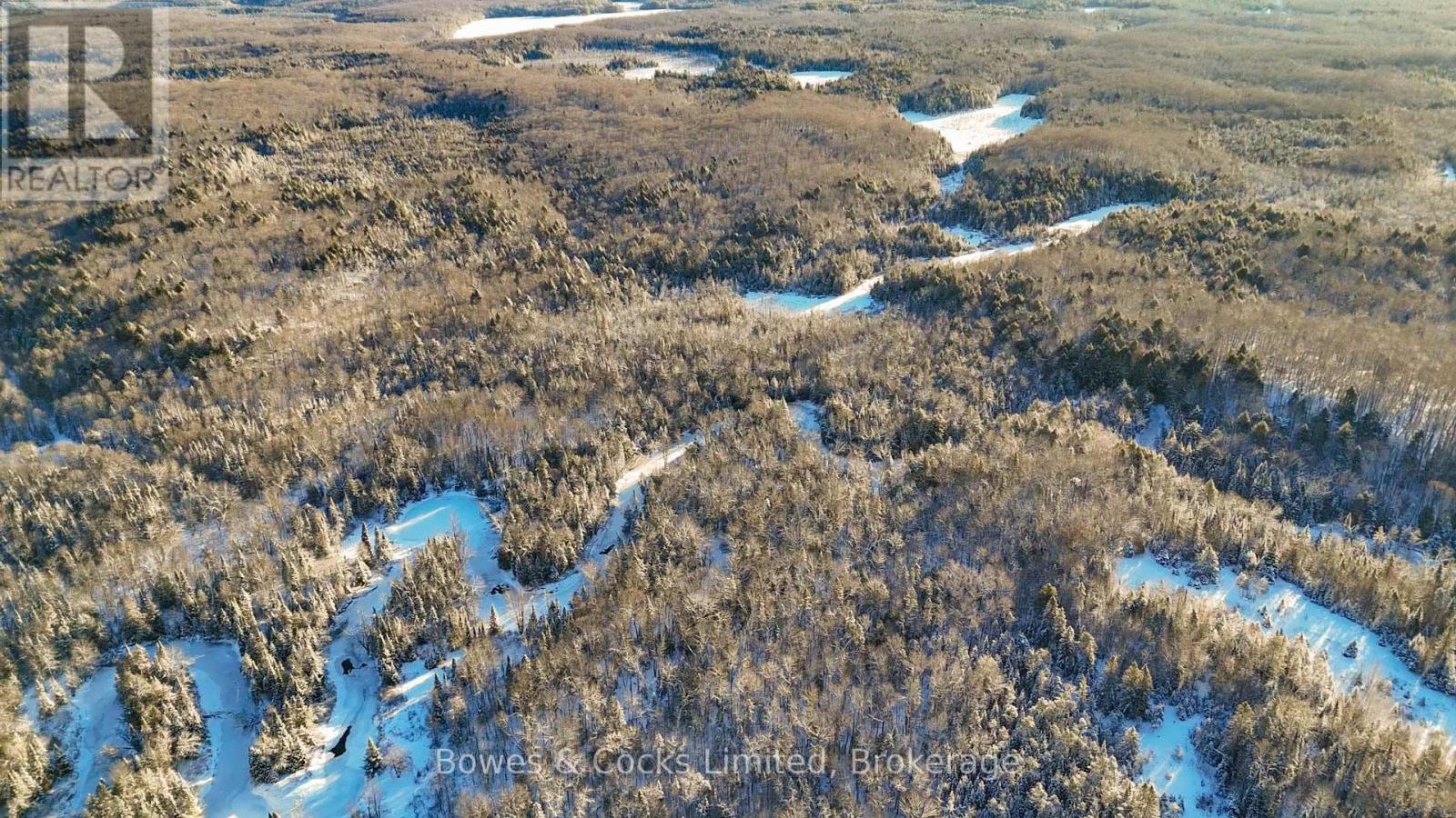 Pt Lt 32 Concession 6, North Kawartha, Ontario  K0L 1A0 - Photo 5 - X13613514