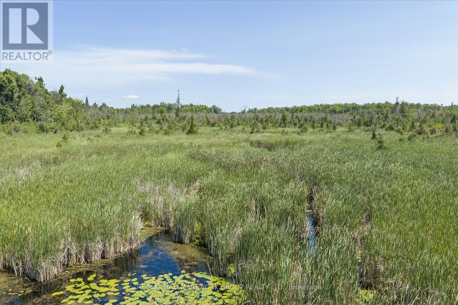 Lot 23 10 Concession, Kawartha Lakes (Emily), Ontario  K0L 1T0 - Photo 13 - X13613654