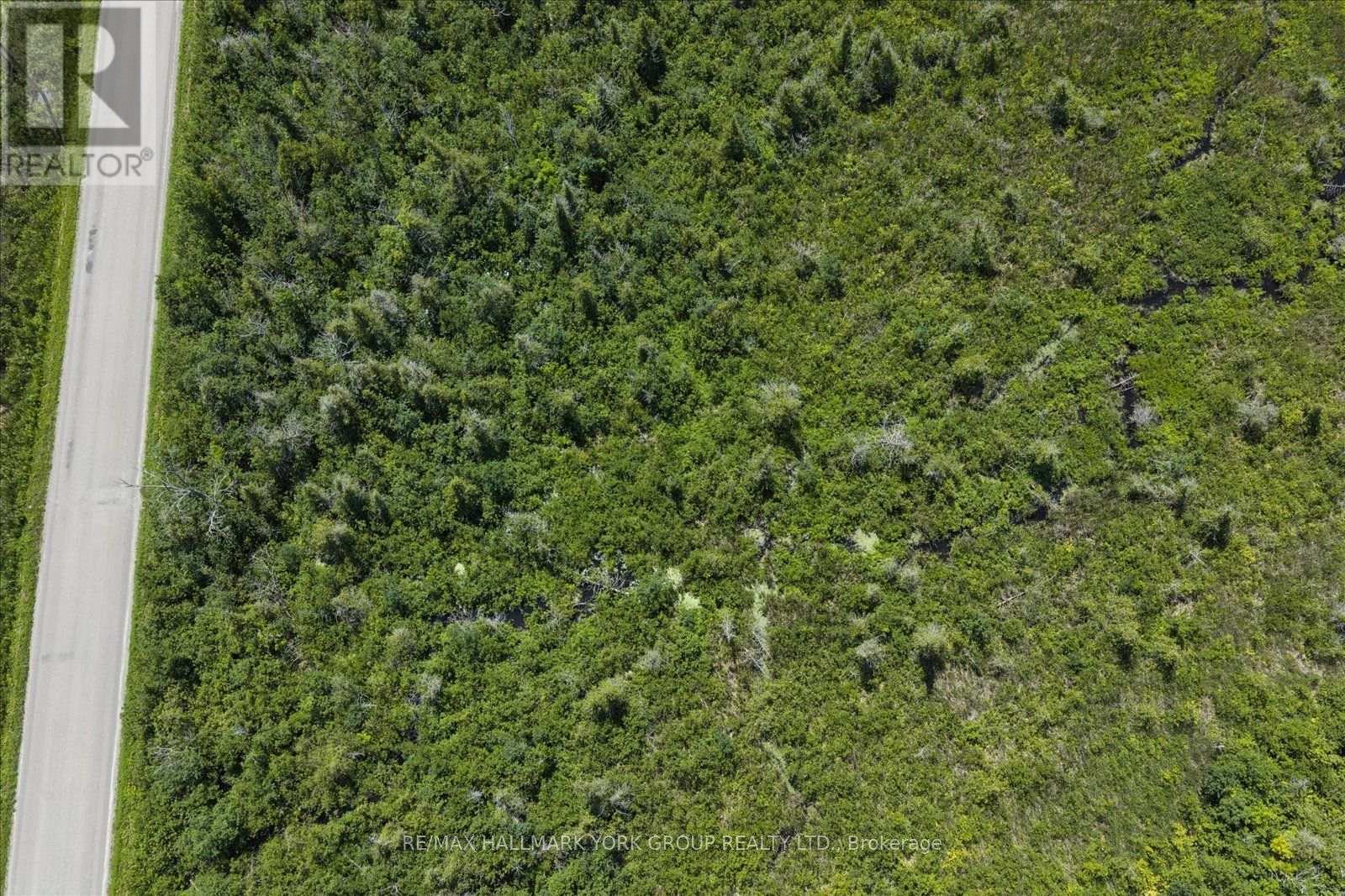 Lot 23 10 Concession, Kawartha Lakes (Emily), Ontario  K0L 1T0 - Photo 14 - X13613654