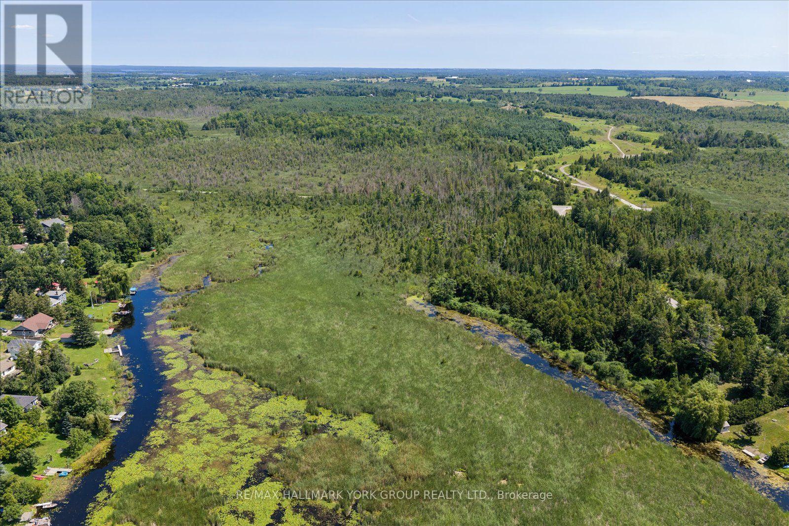 Lot 23 10 Concession, Kawartha Lakes (Emily), Ontario  K0L 1T0 - Photo 16 - X13613654