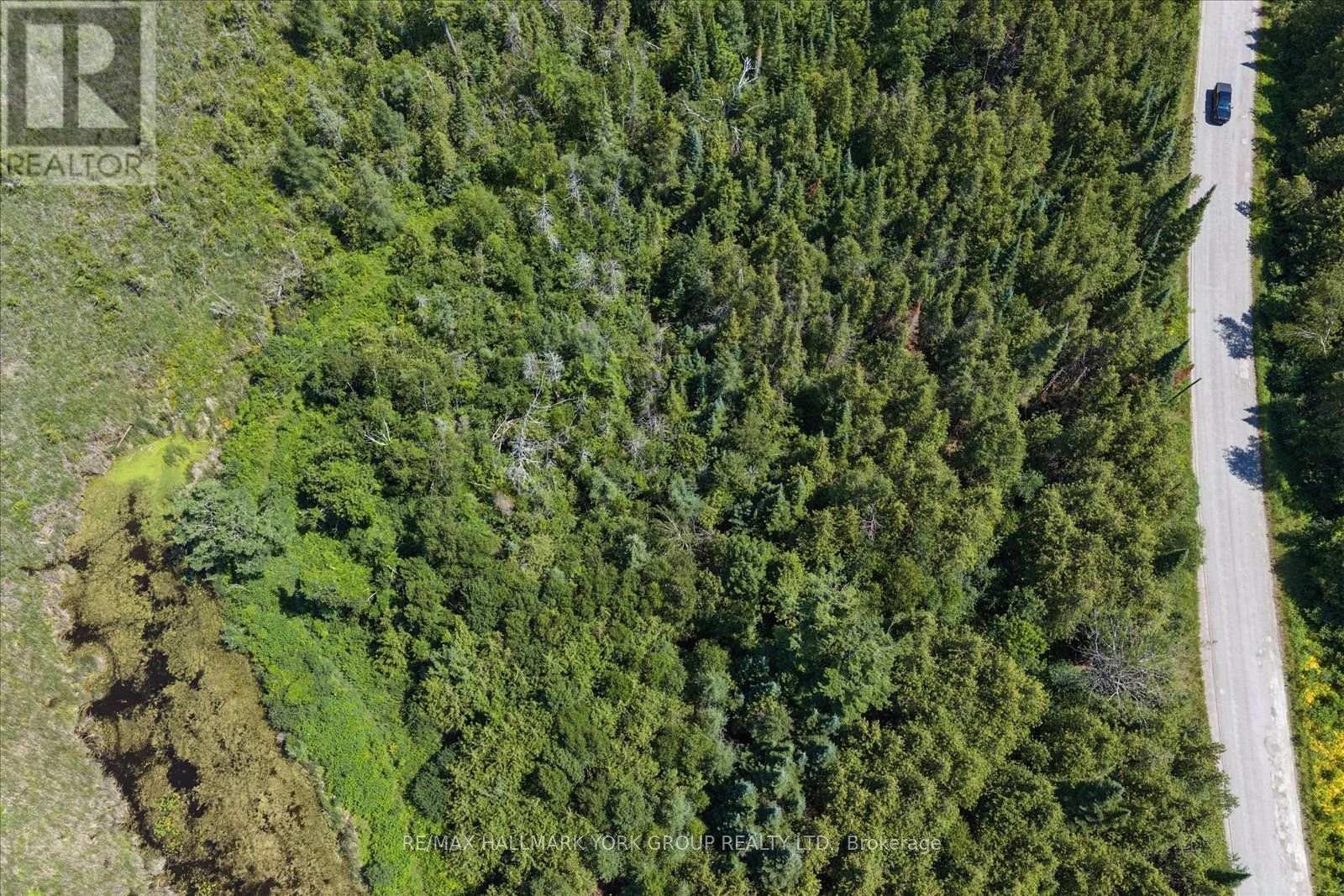 Lot 23 10 Concession, Kawartha Lakes (Emily), Ontario  K0L 1T0 - Photo 17 - X13613654