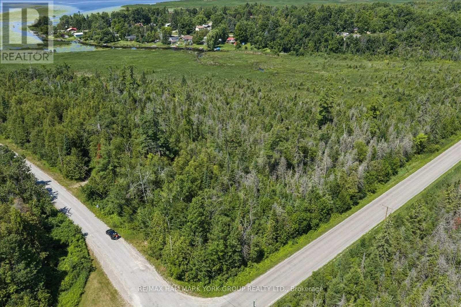 Lot 23 10 Concession, Kawartha Lakes (Emily), Ontario  K0L 1T0 - Photo 18 - X13613654