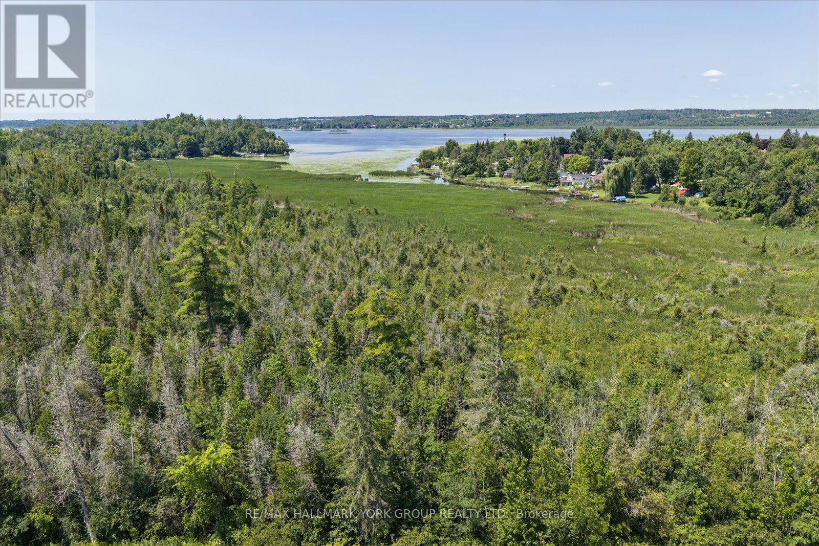 Lot 23 10 Concession, Kawartha Lakes (Emily), Ontario  K0L 1T0 - Photo 19 - X13613654