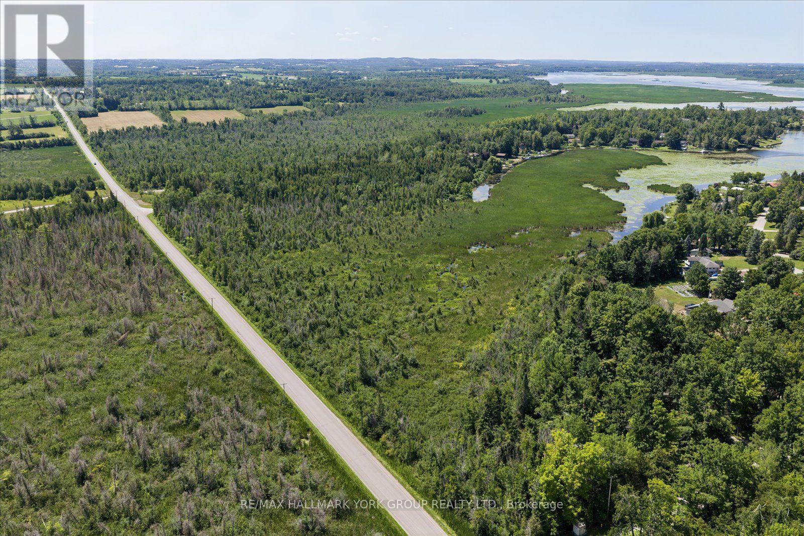 Lot 23 10 Concession, Kawartha Lakes (Emily), Ontario  K0L 1T0 - Photo 20 - X13613654