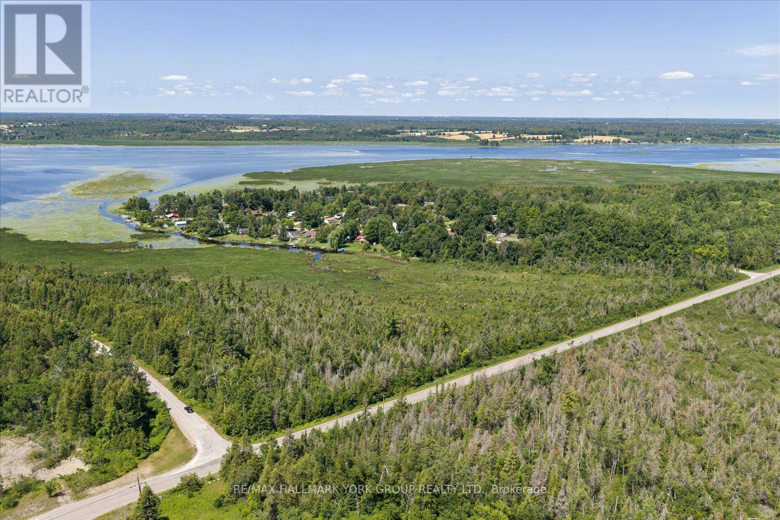 Lot 23 10 Concession, Kawartha Lakes (Emily), Ontario  K0L 1T0 - Photo 4 - X13613654