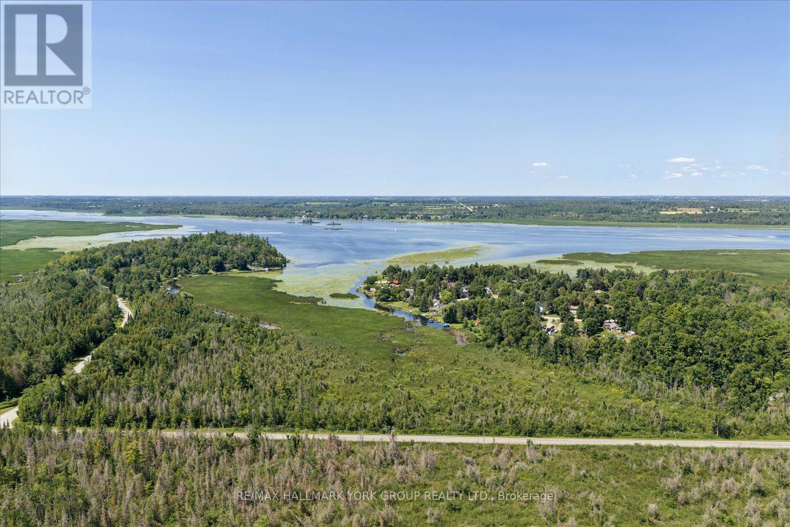 Lot 23 10 Concession, Kawartha Lakes (Emily), Ontario  K0L 1T0 - Photo 5 - X13613654
