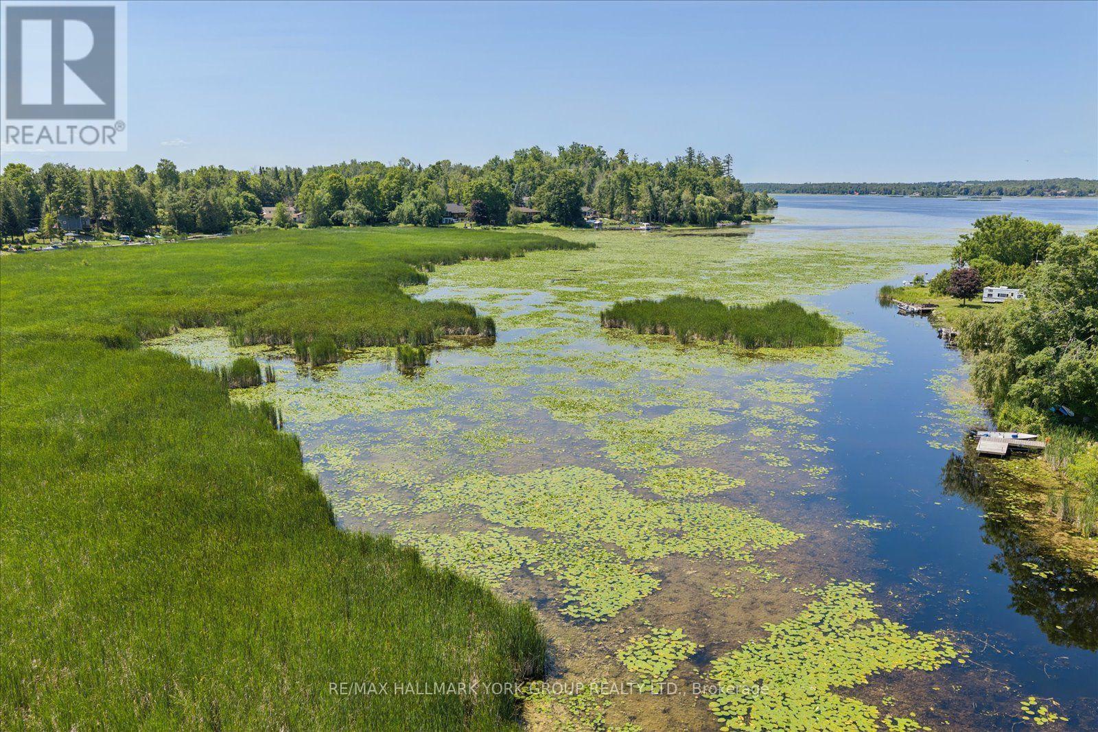 Lot 23 10 Concession, Kawartha Lakes (Emily), Ontario  K0L 1T0 - Photo 6 - X13613654