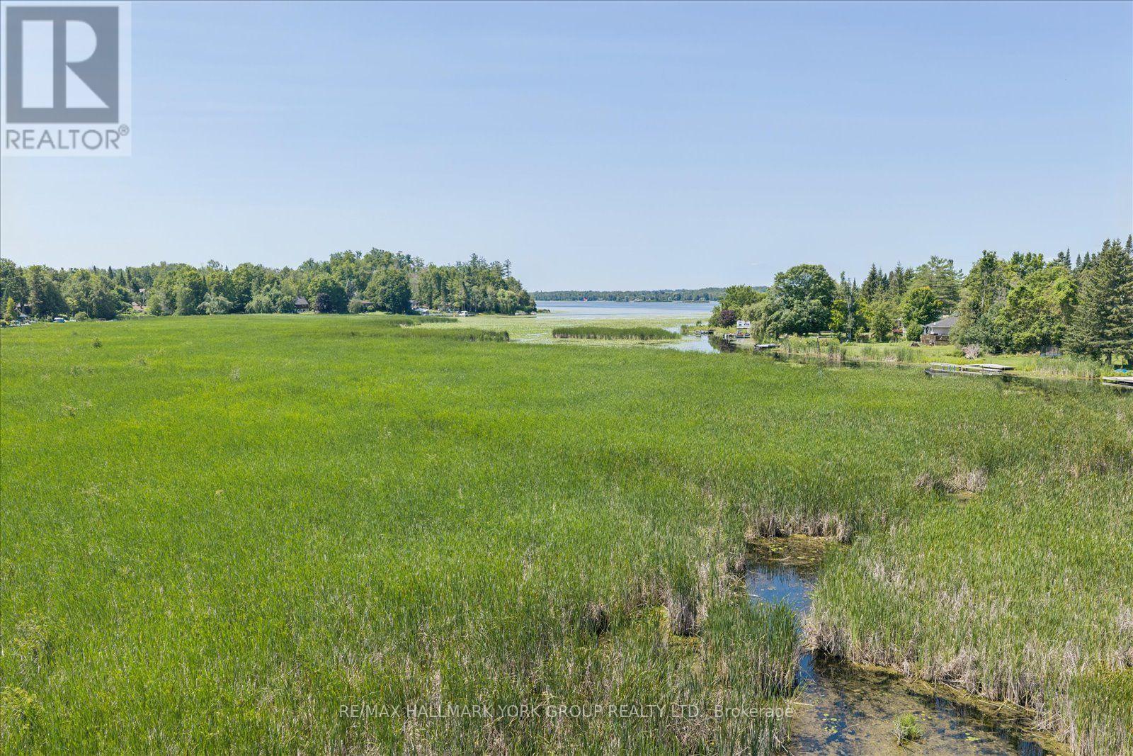 Lot 23 10 Concession, Kawartha Lakes (Emily), Ontario  K0L 1T0 - Photo 7 - X13613654